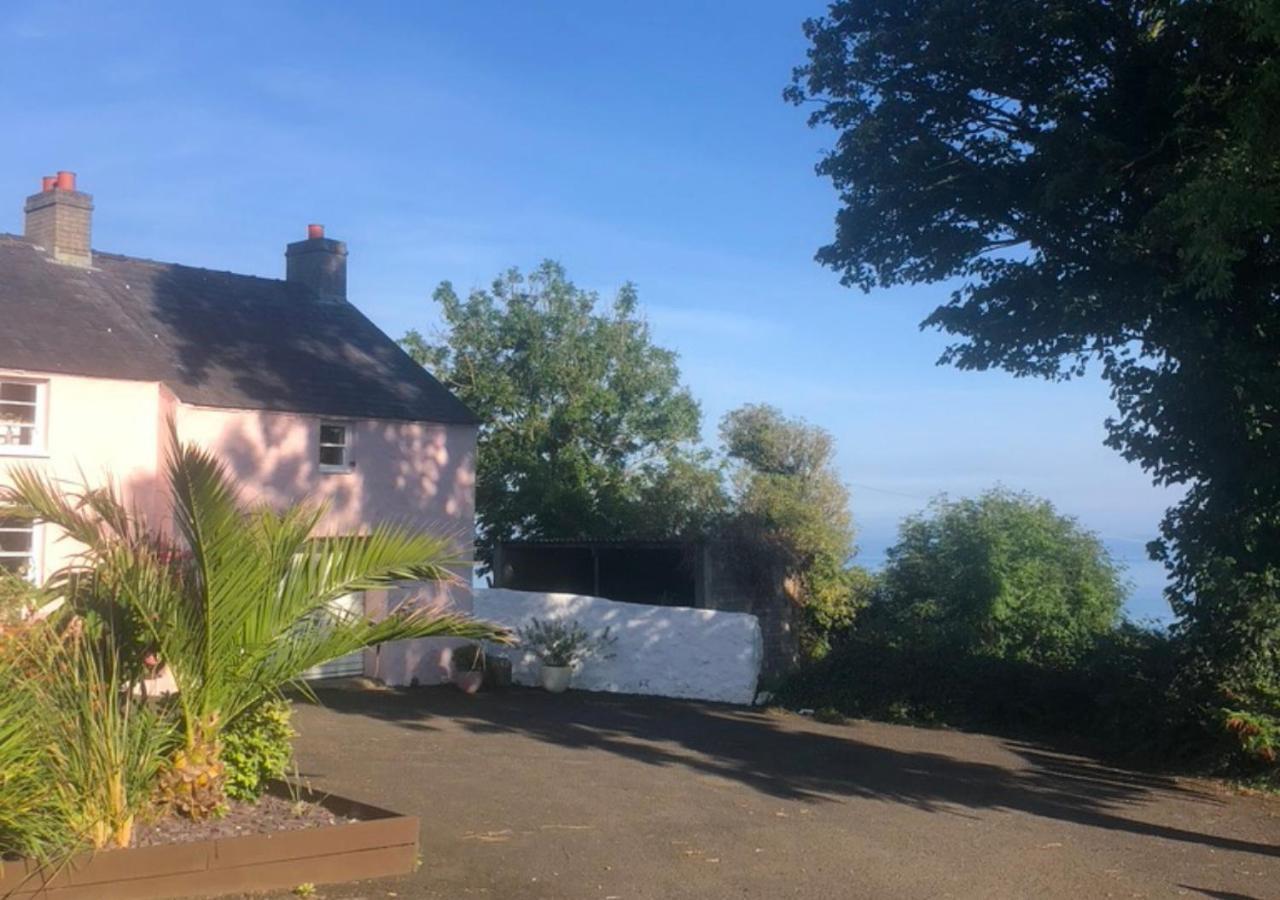 The Pink Cottage Upstairs Suite & Garden Summer Room Whitehead Экстерьер фото