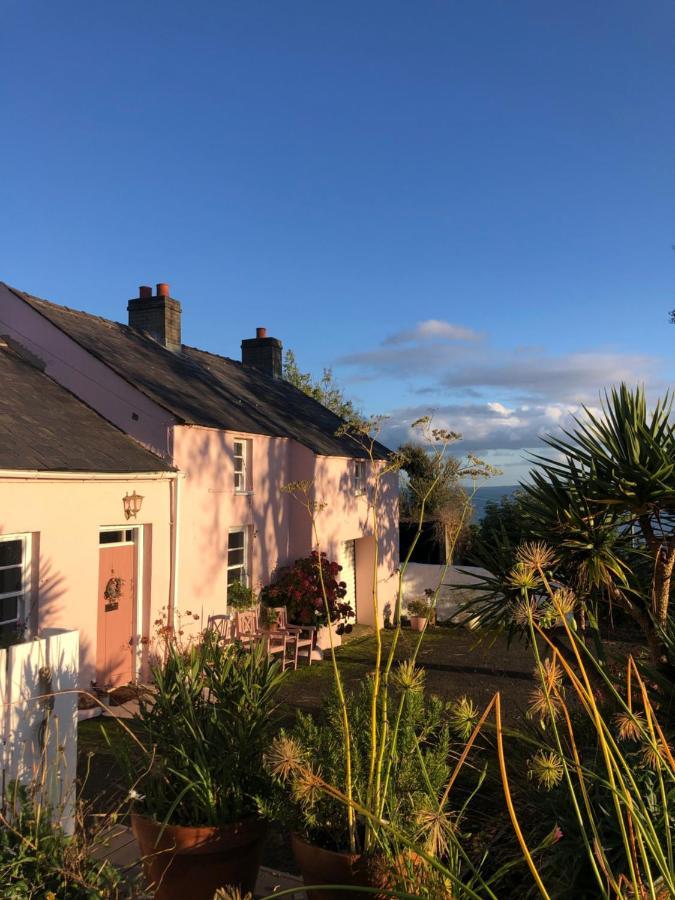 The Pink Cottage Upstairs Suite & Garden Summer Room Whitehead Экстерьер фото